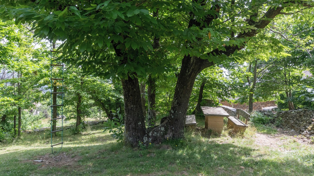 Photo of Outdoor in Gravieres