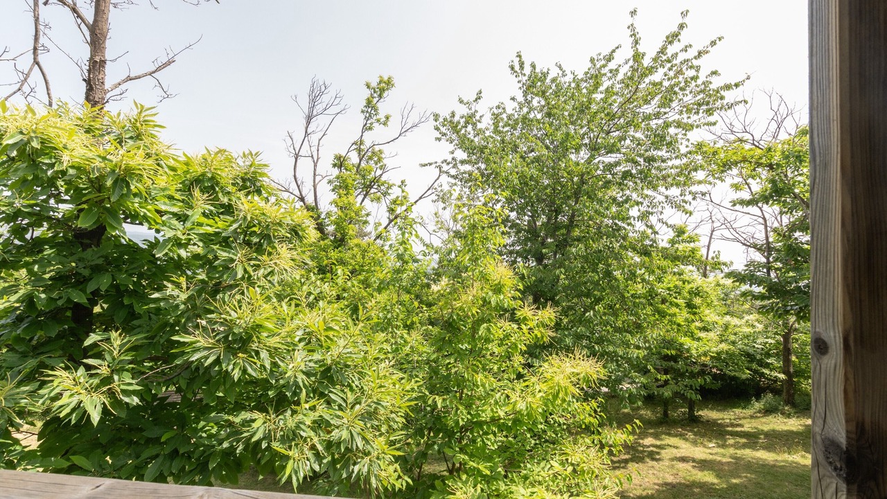 Photo of Outdoor in Gravieres