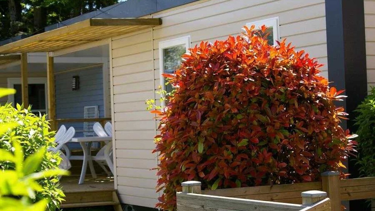 Photo of Patio Balcony in Vaux-le-Penil