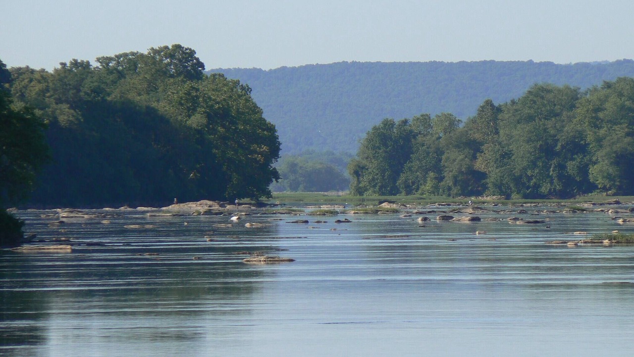 Photo of Others in Selinsgrove