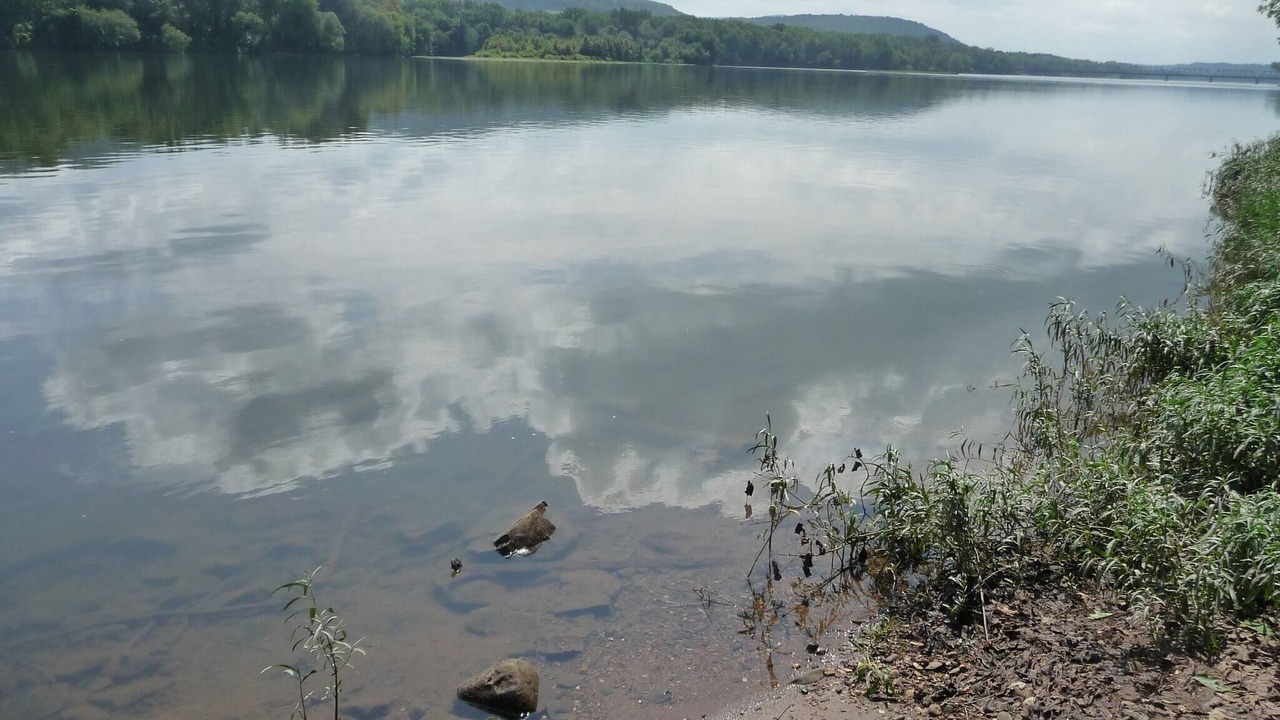 Photo of Others in Selinsgrove