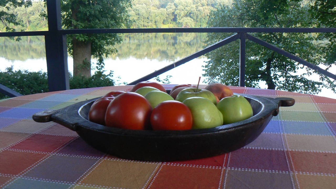 Photo of Outdoor in Selinsgrove