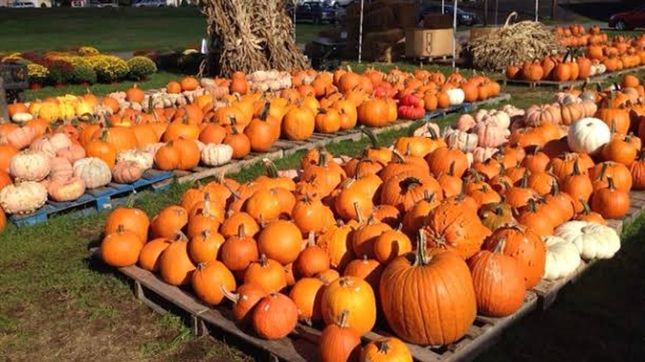 Photo of Others in Selinsgrove