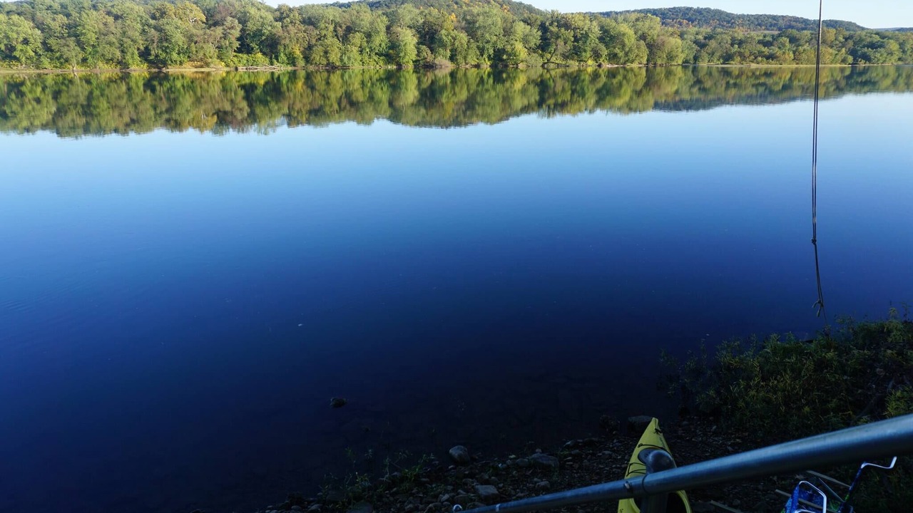 Photo of Others in Selinsgrove