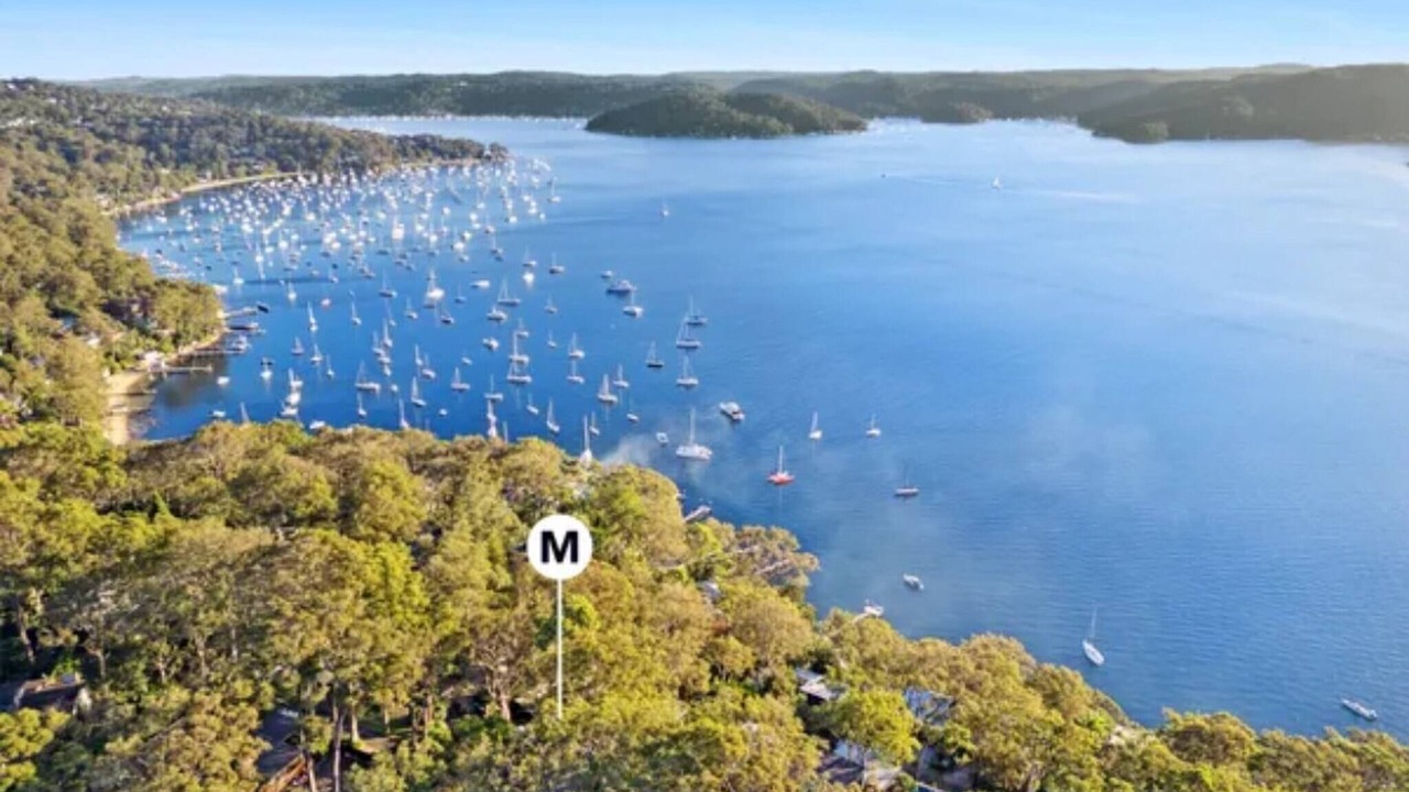 Photo of Others in Avalon Beach