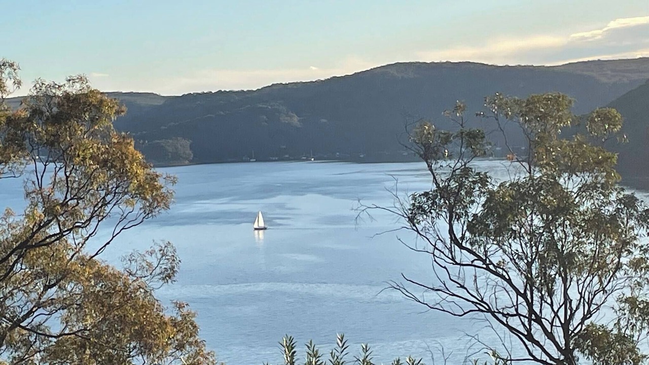 Photo of Others in Avalon Beach