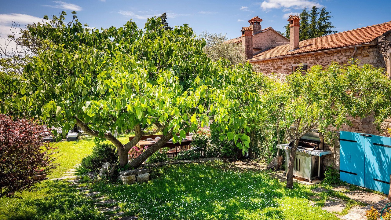 Photo of Outdoor in Buzet