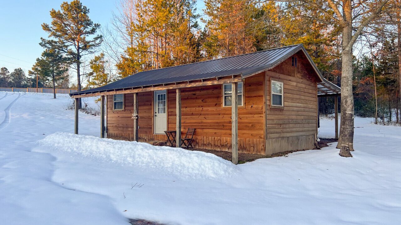 Photo of Outdoor in Daisy