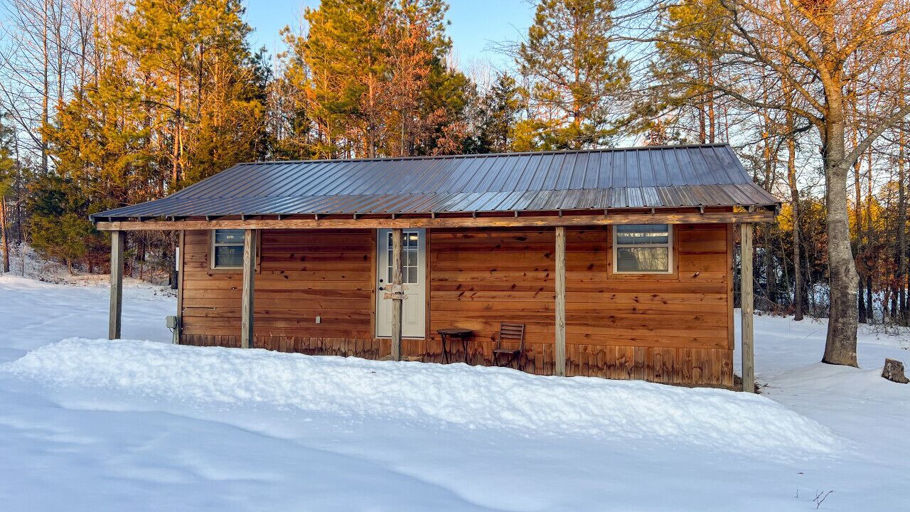 Photo of Outdoor in Daisy