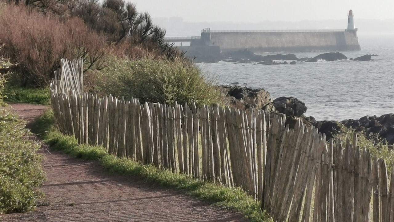 Photo of Others in Olonne-sur-Mer