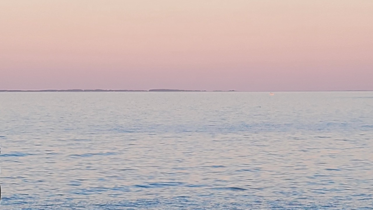 Photo of Others in North Beach