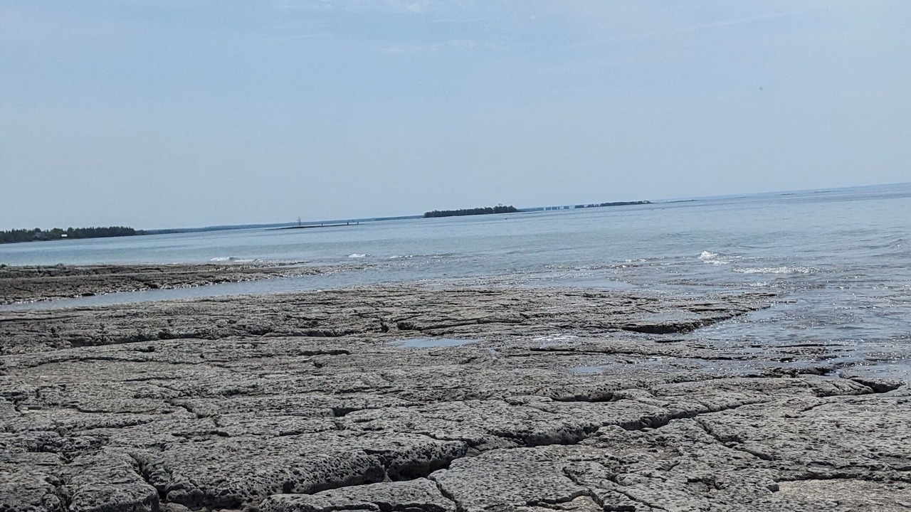 Photo of Others in Colpoys Bay