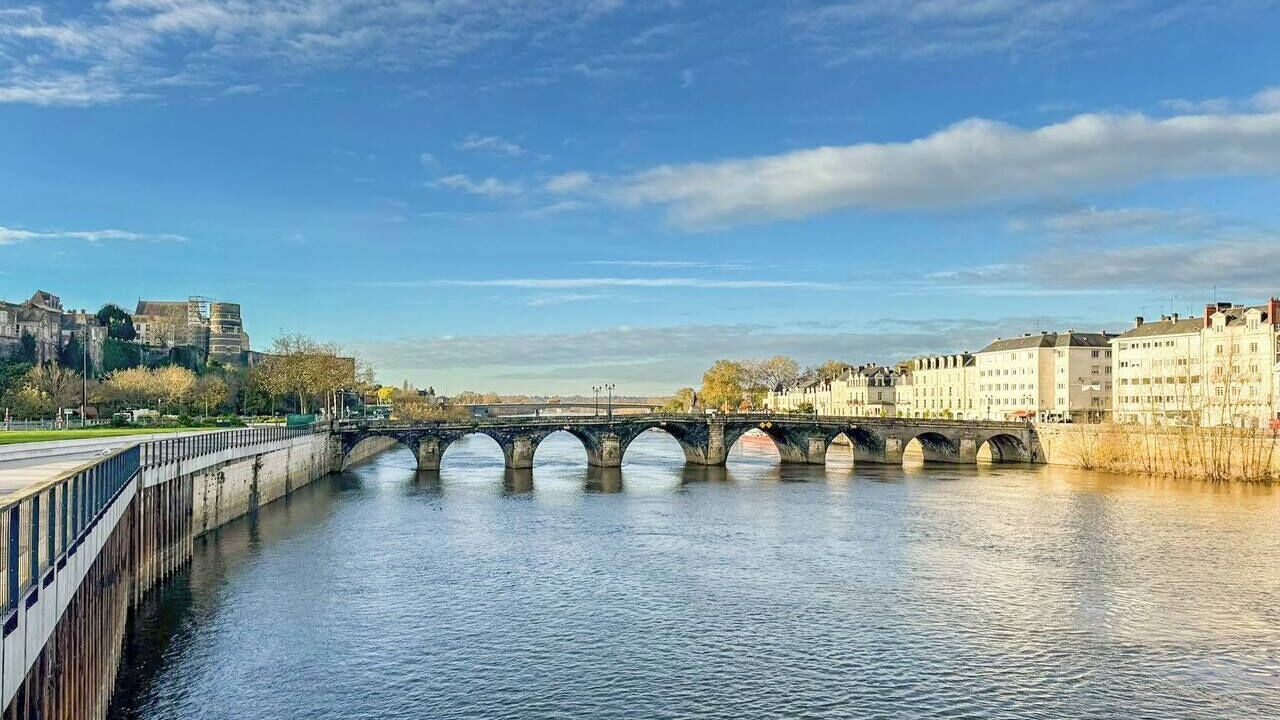 Photo of Others in Downtown Angers