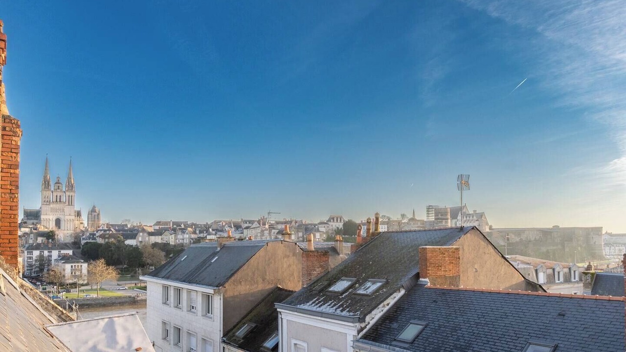 Photo of Others in Downtown Angers