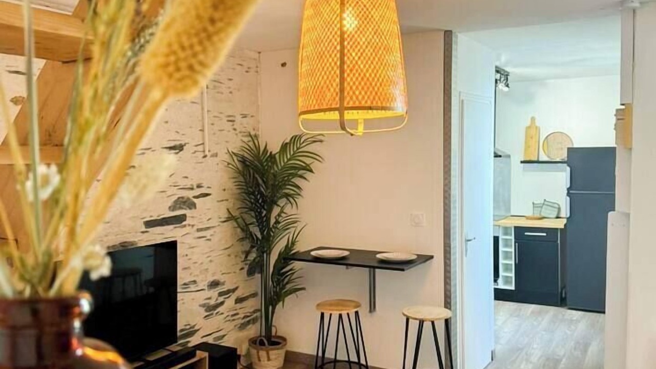 Photo of Livingroom in Downtown Angers