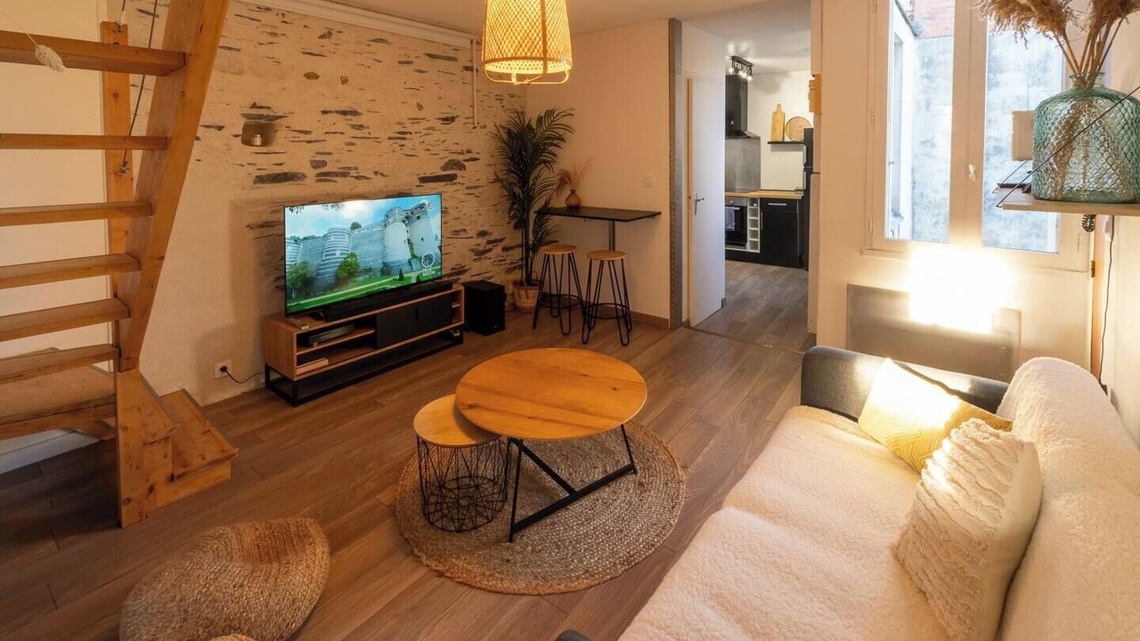 Photo of Livingroom in Downtown Angers