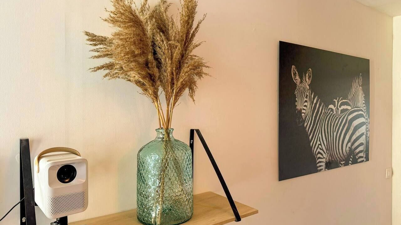 Photo of Others in Downtown Angers