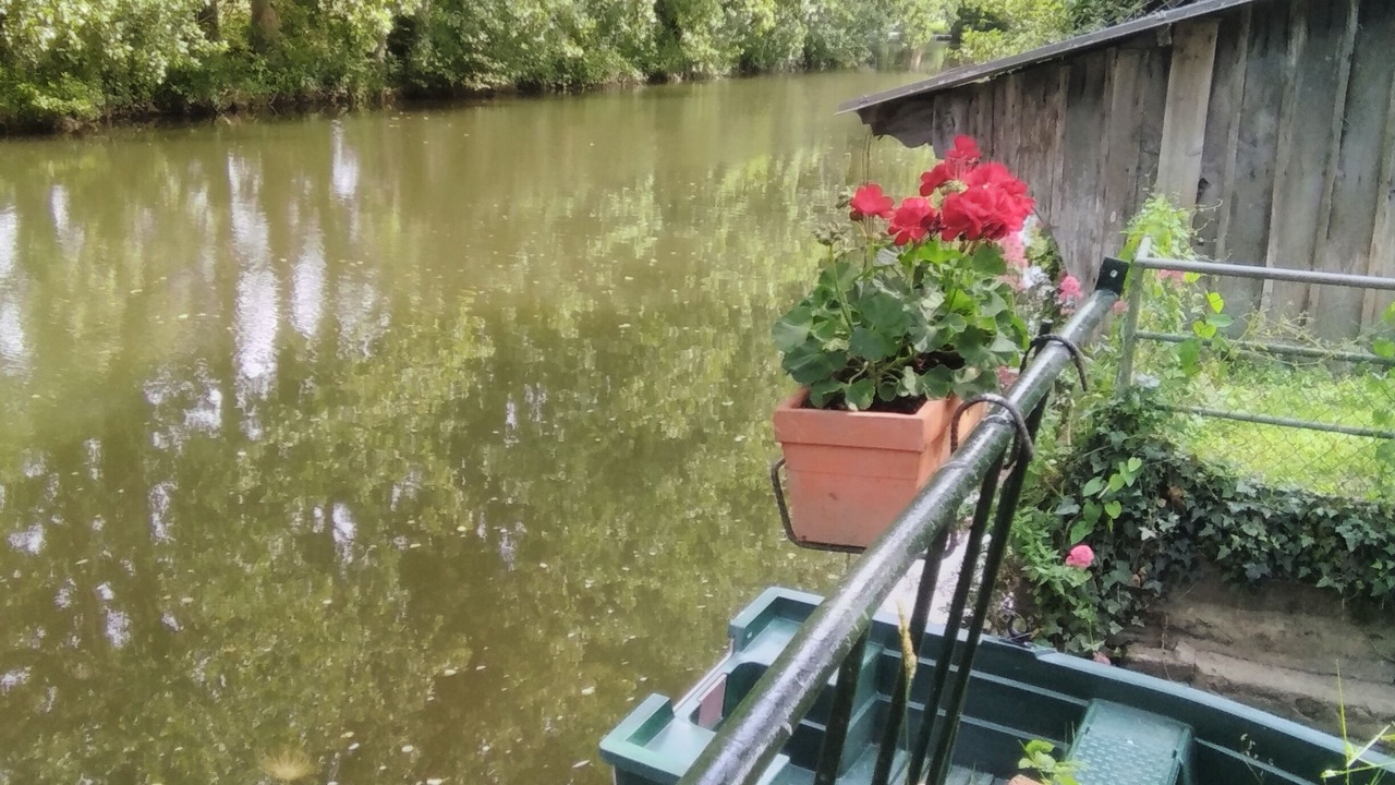 Photo of Outdoor in Putanges-le-Lac