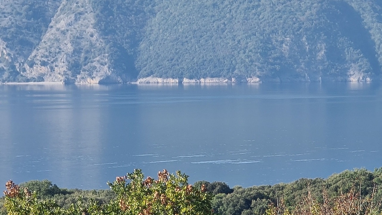 Photo of Others in Skrbcici