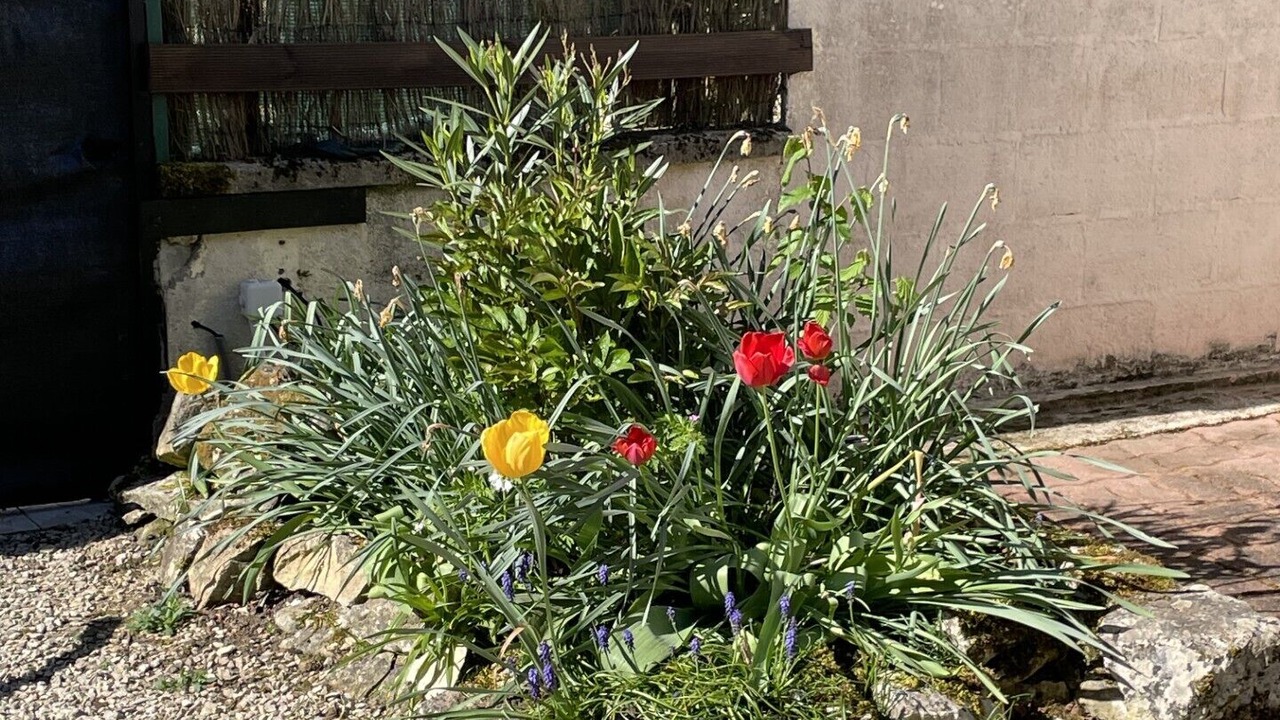 Photo of Outdoor in Rom