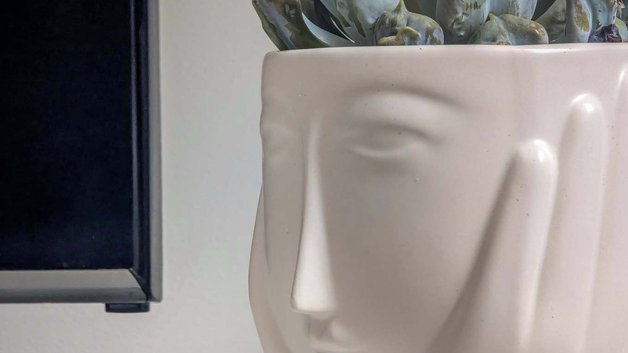 Photo of Others in Hove