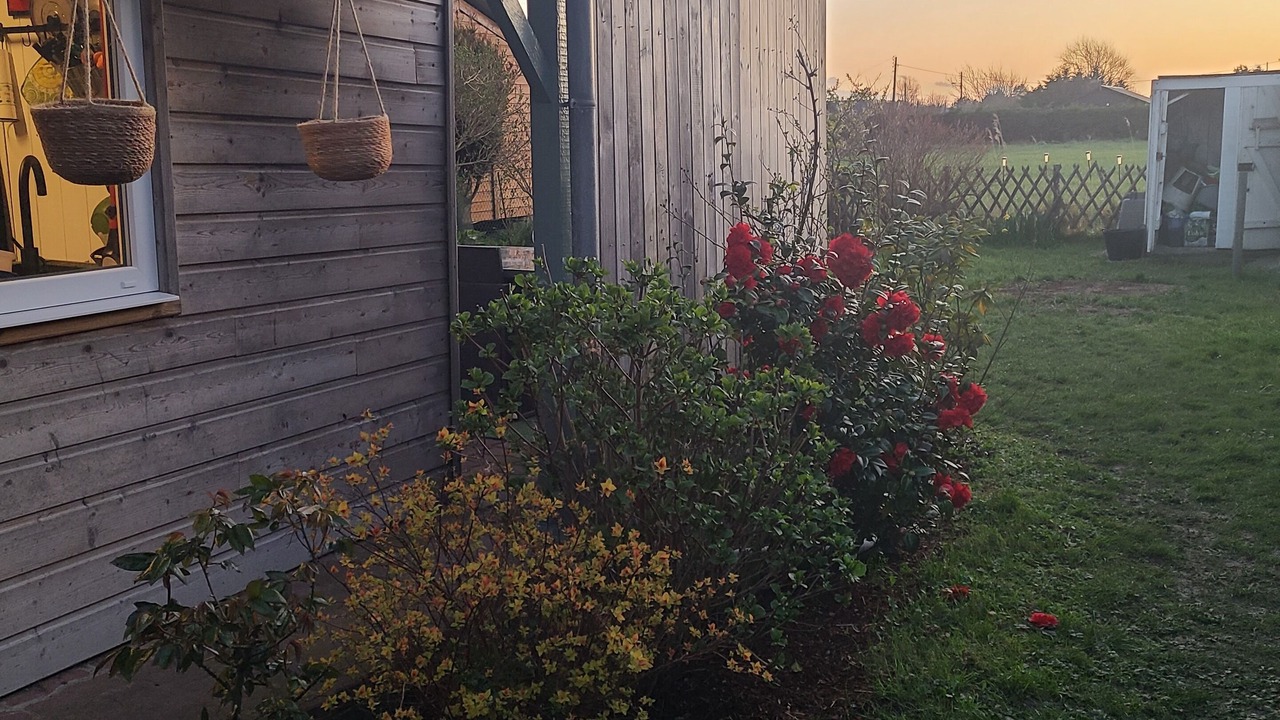 Photo of Outdoor in Asnelles