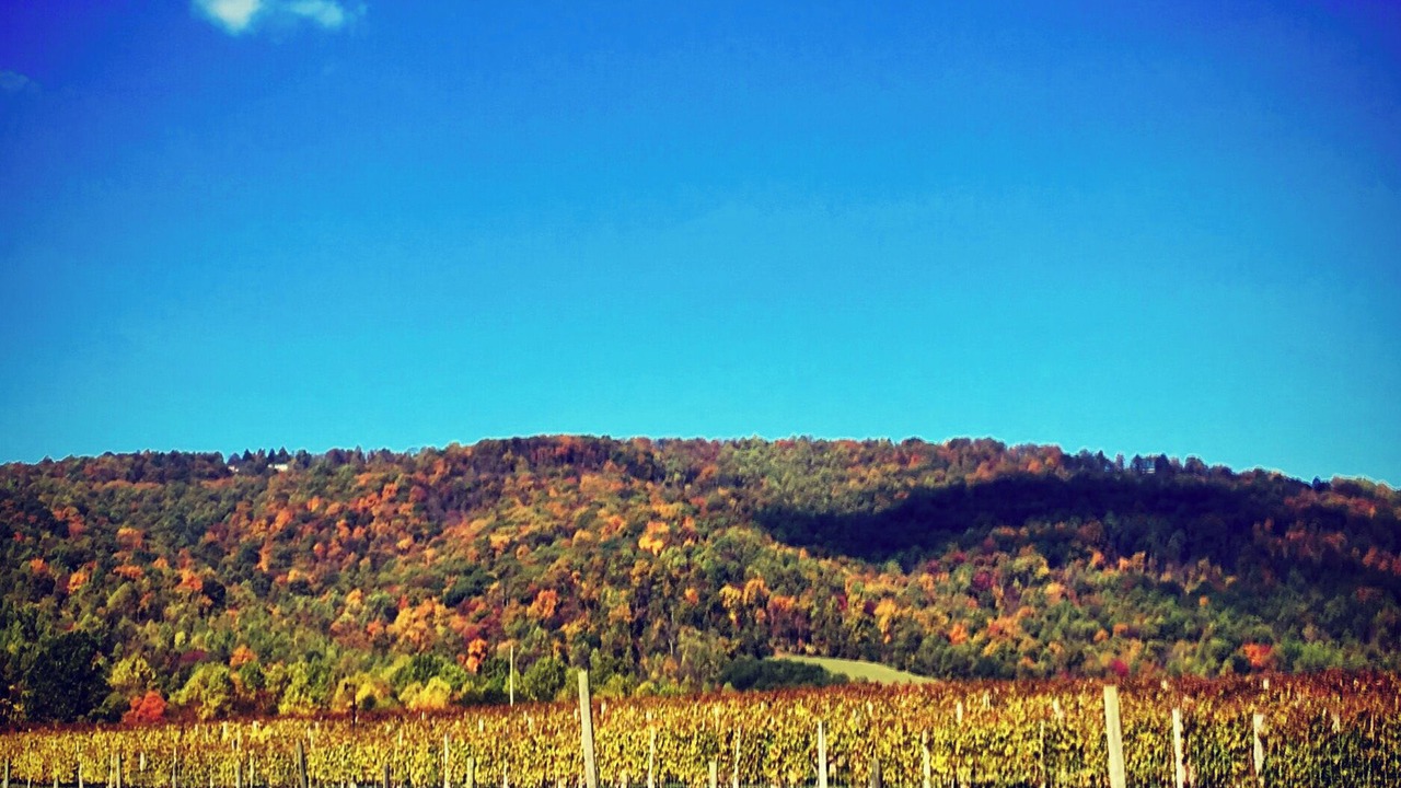 Photo of Outdoor in Afton