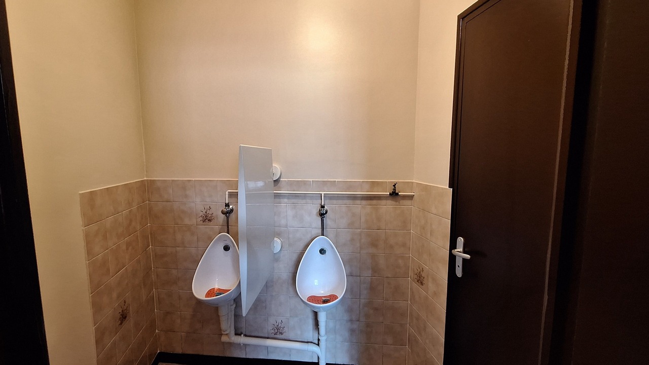 Photo of Bathroom in Saint-Brisson-sur-Loire