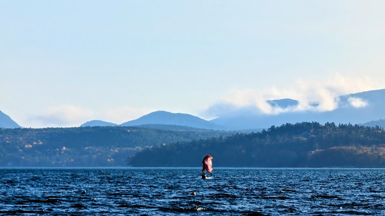 Photo of Others in Hancock Point