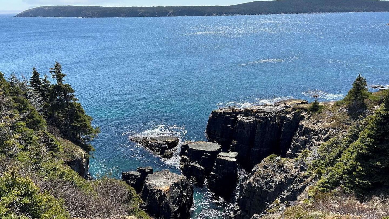Photo of Others in Bay Bulls
