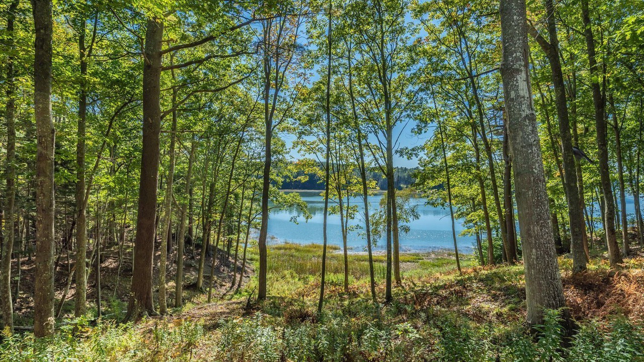 Photo of Outdoor in Freeport