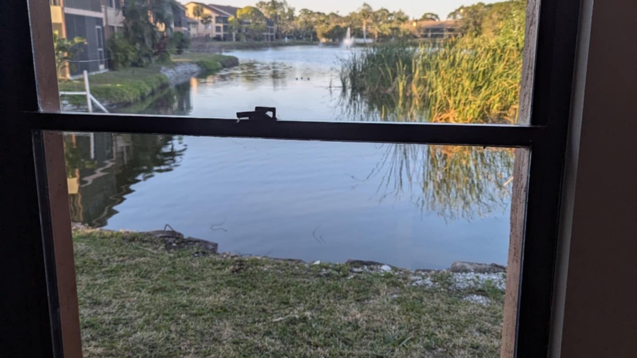 Photo of Others in Gulf Gate Estates
