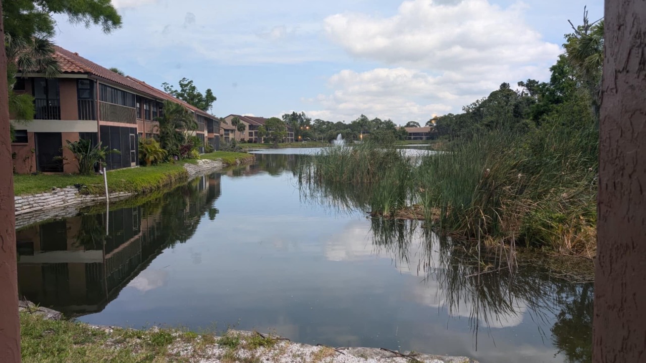 Photo of Outdoor in Gulf Gate Estates