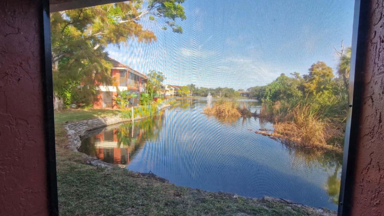 Photo of Others in Gulf Gate Estates