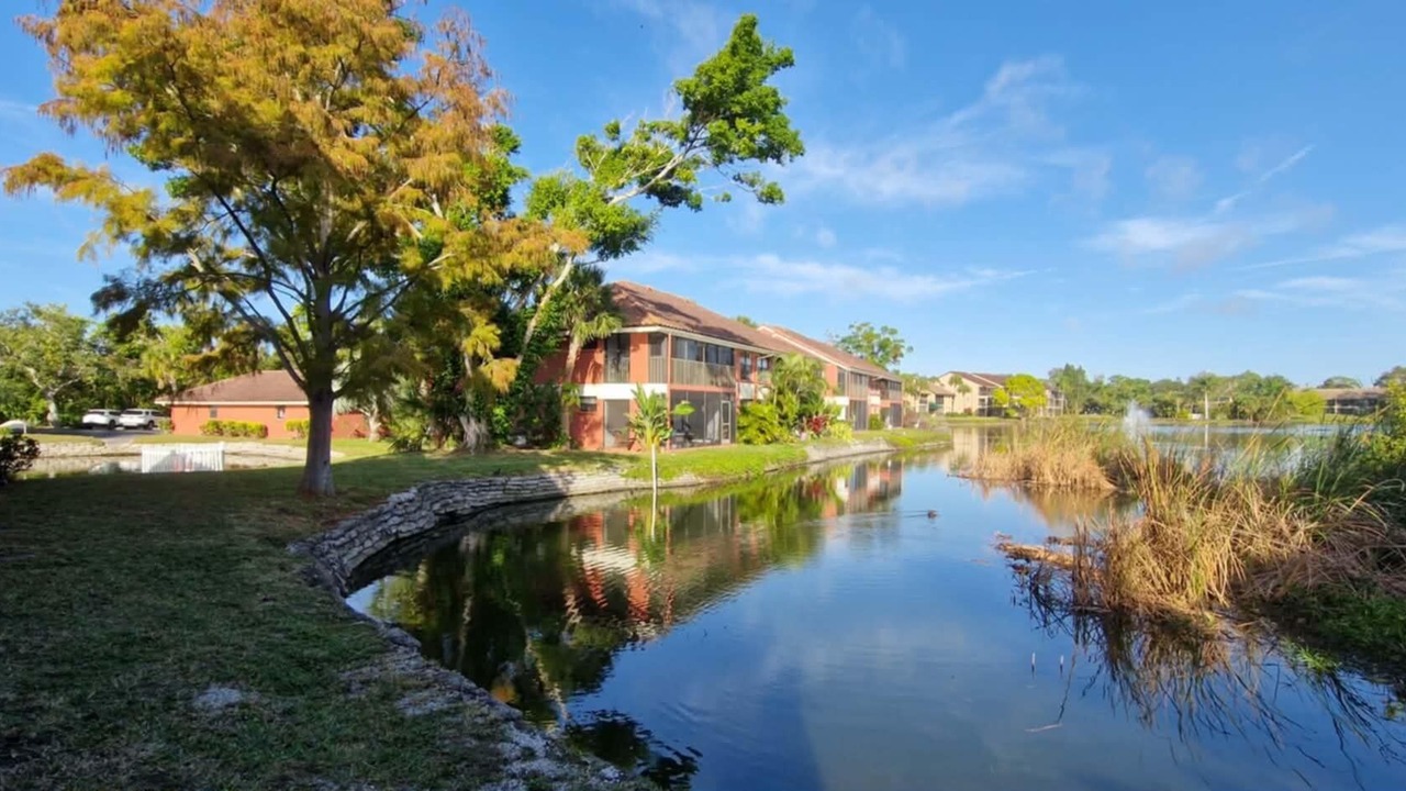 Photo of Outdoor in Gulf Gate Estates