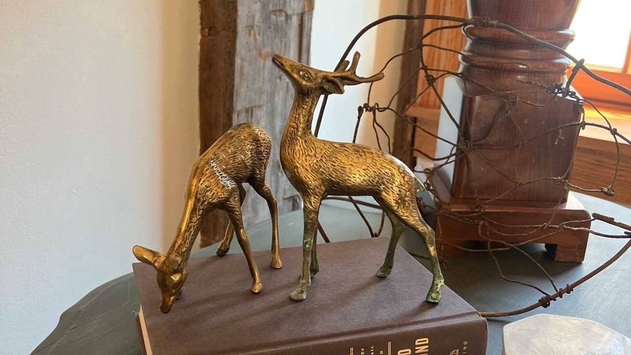 Photo of Others in Willsboro