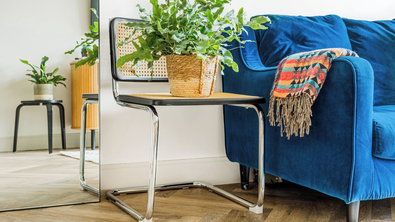 Photo of Livingroom in Hackney Downs