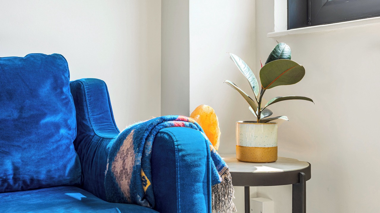 Photo of Others in Hackney Downs