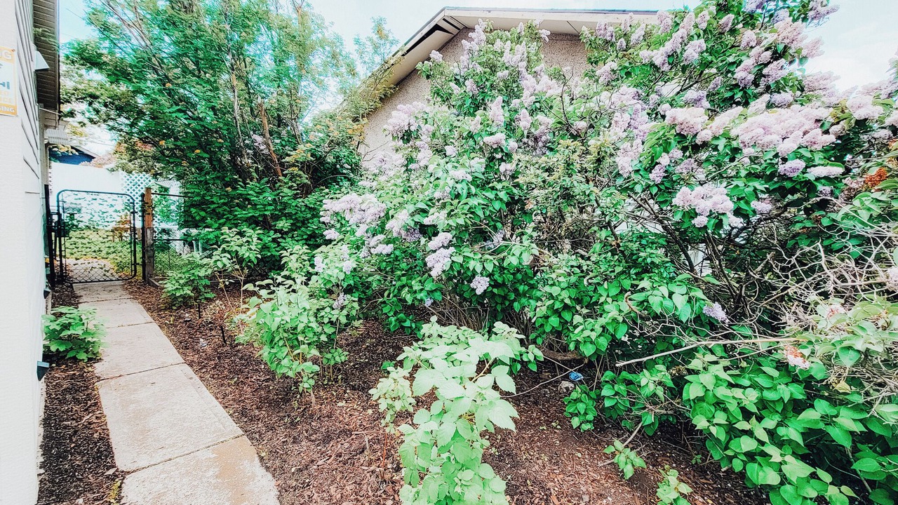 Photo of Others in Montgomery