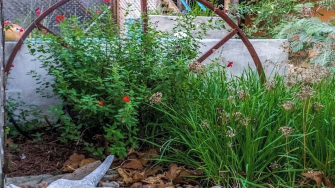 Photo of Outdoor in Spring Branch