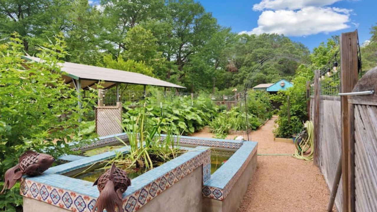 Photo of Outdoor in Spring Branch