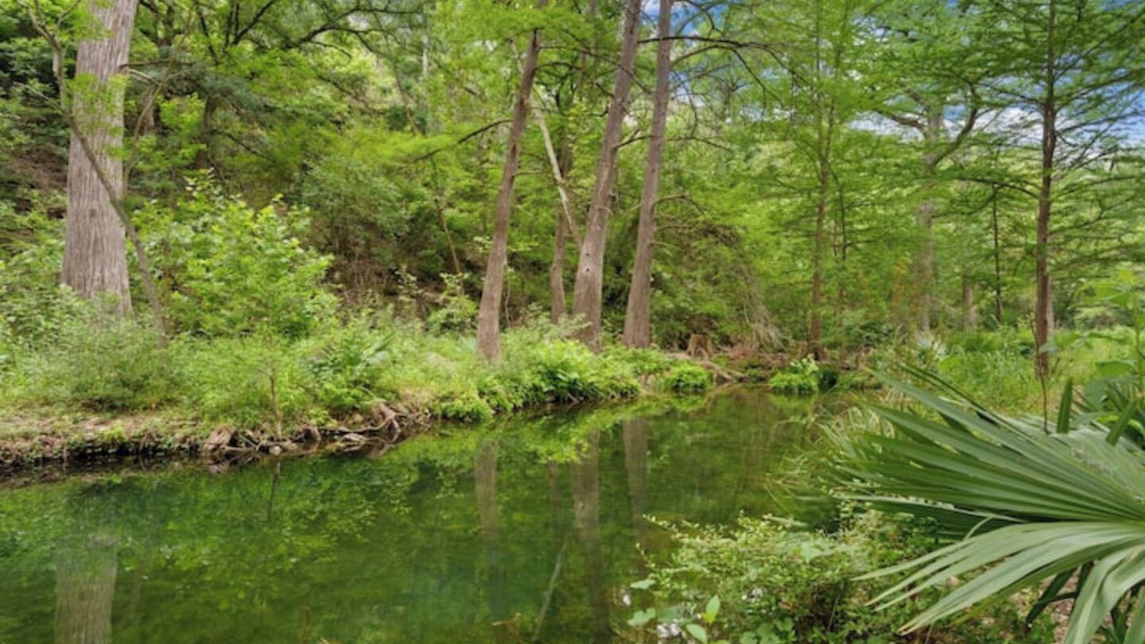 Photo of Others in Spring Branch
