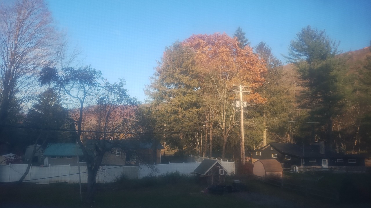 Photo of Others in Oliverea