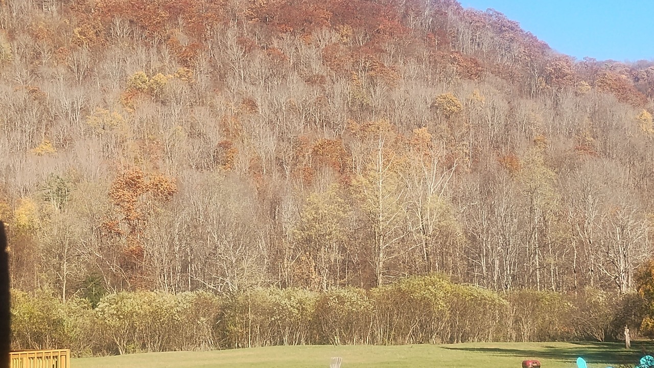 Photo of Outdoor in Oliverea