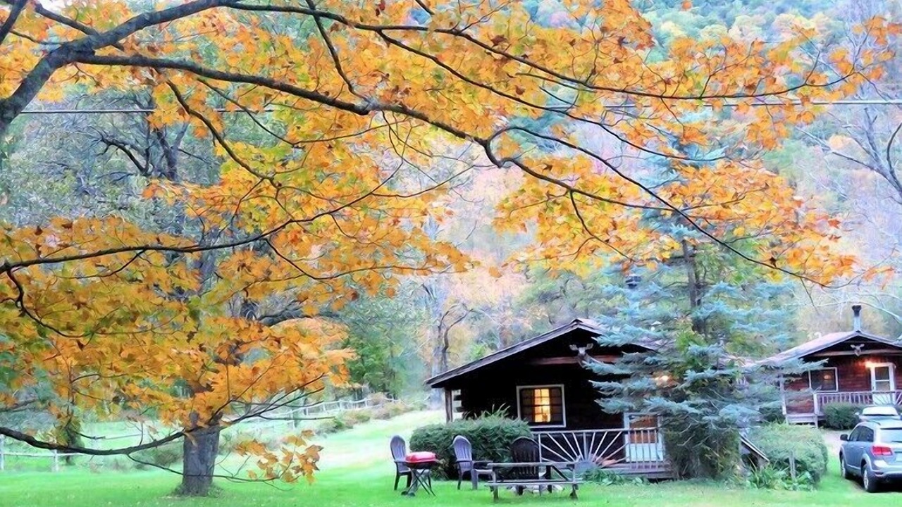 Photo of Outdoor in Oliverea