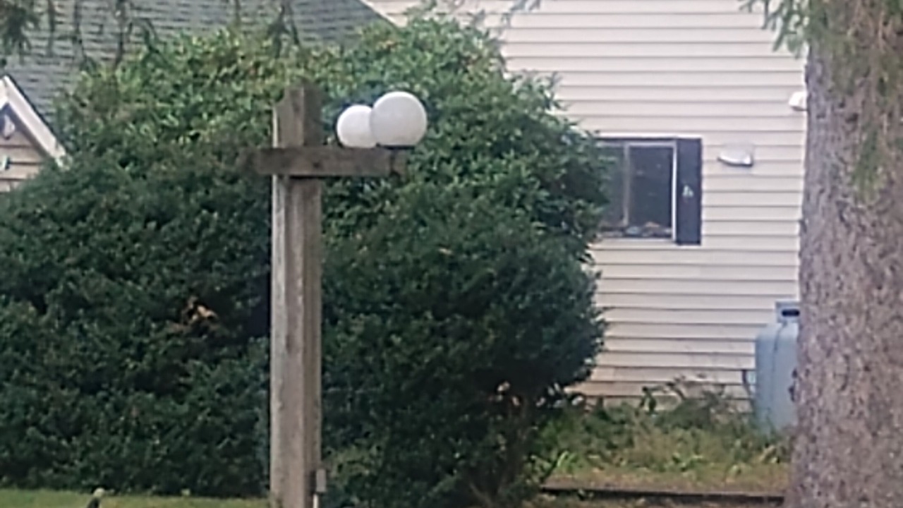 Photo of Others in Oliverea