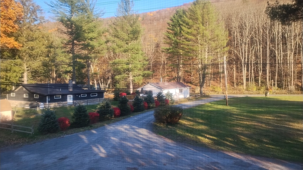 Photo of Outdoor in Oliverea