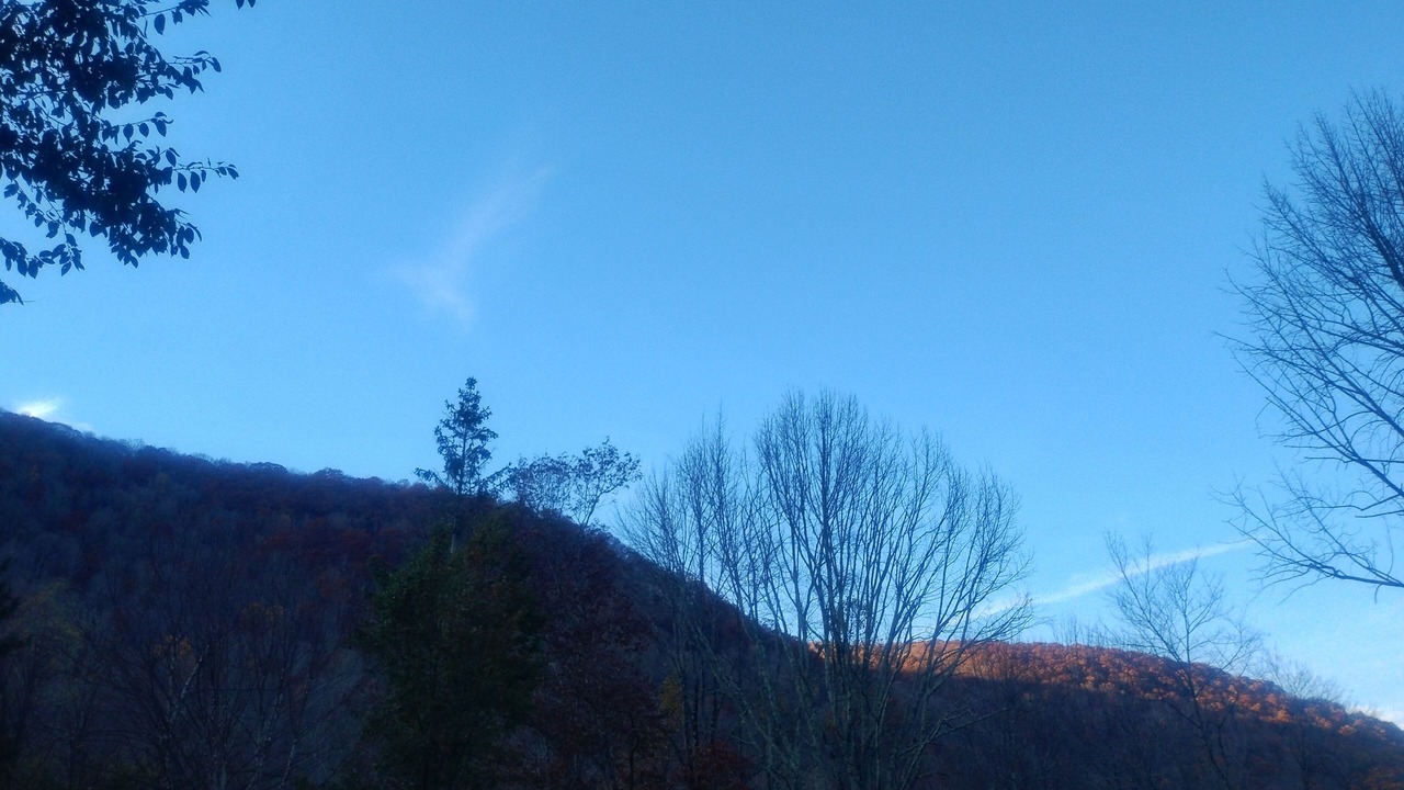 Photo of Others in Oliverea