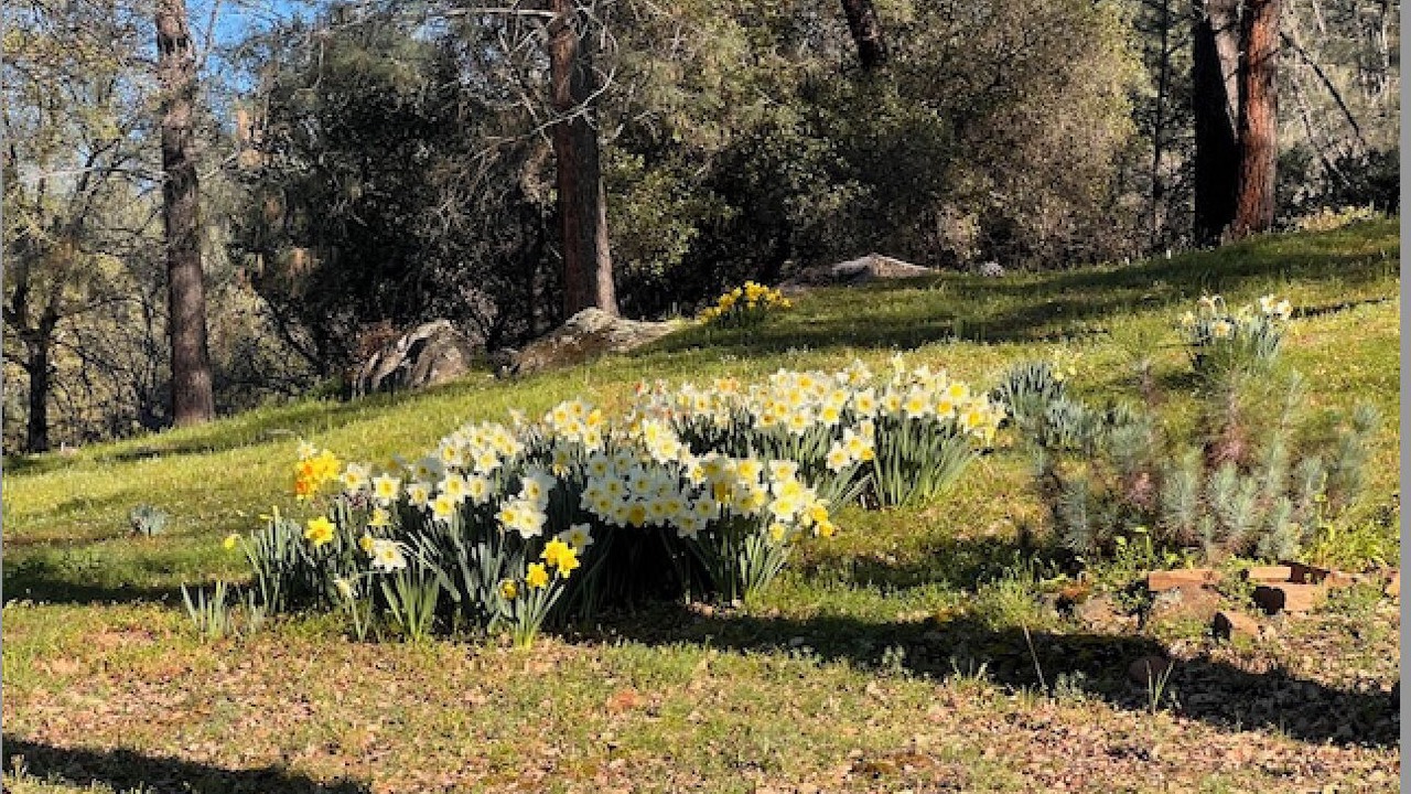 Photo of Outdoor in Penn Valley