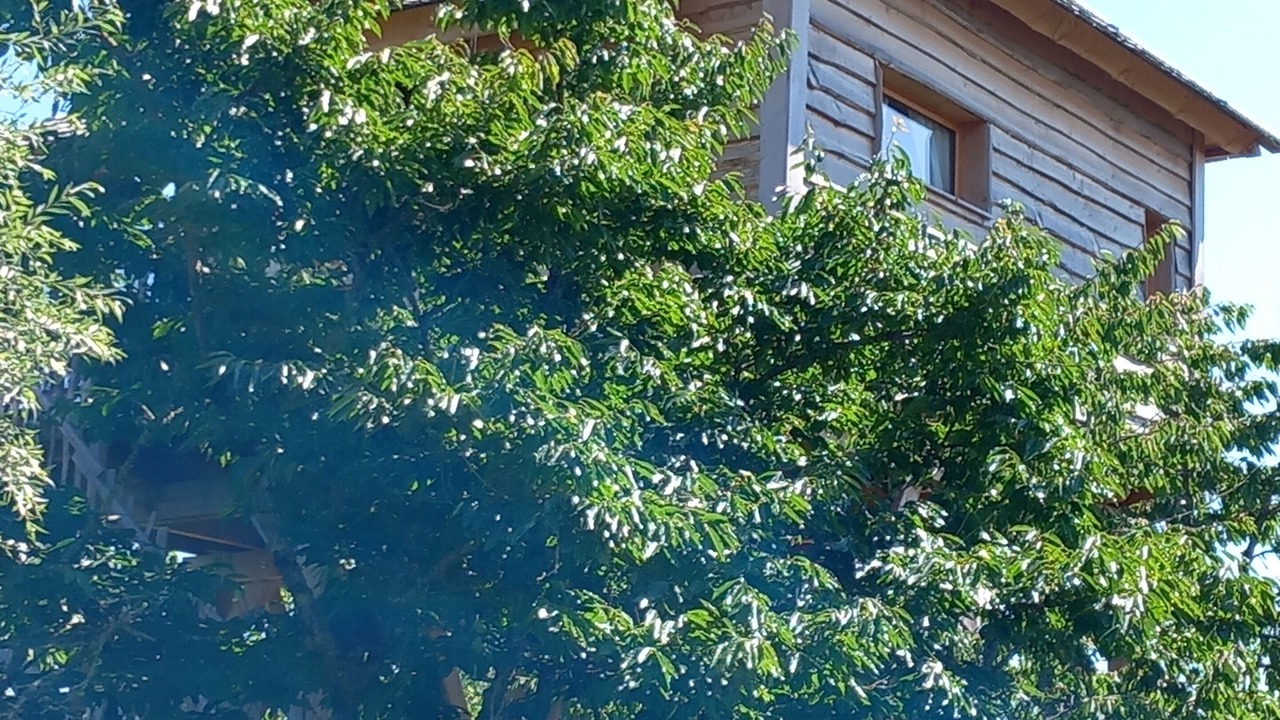 Photo of Outdoor in Segonzac